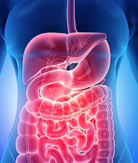 Pathologie-digestive à Marrakech – 20 médecins spécialisés (21 September 2025)